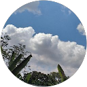 cheah zhen cheng profile picture