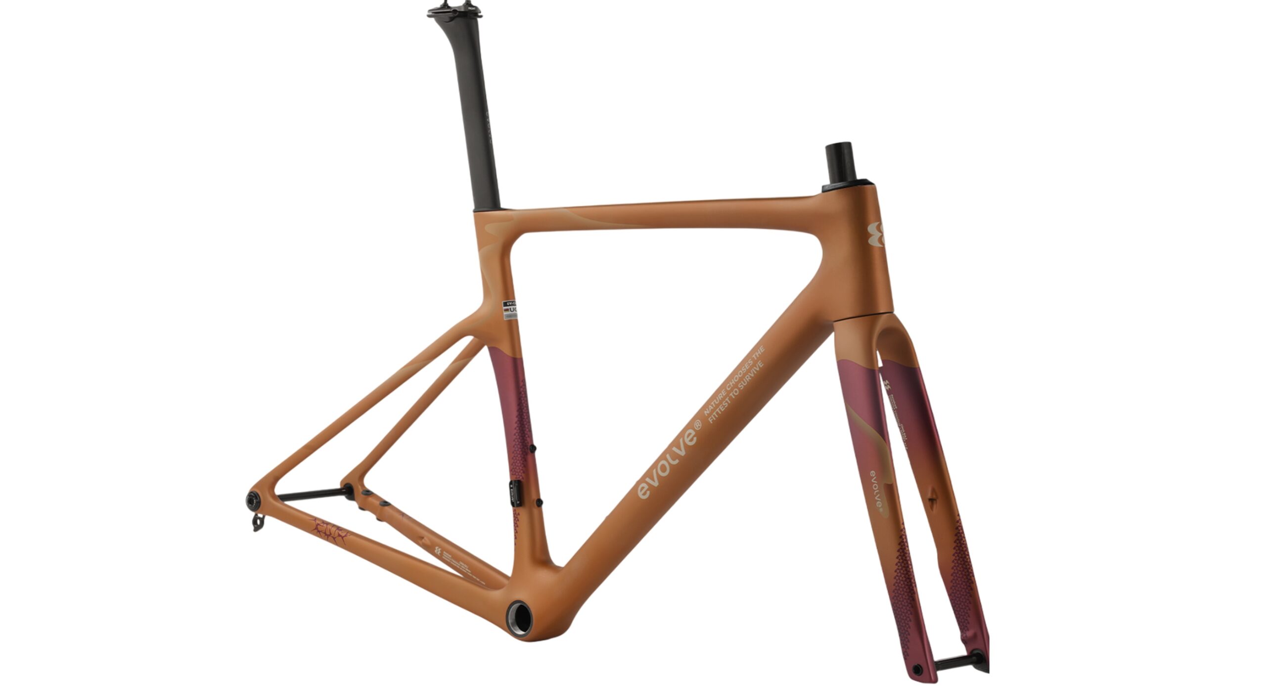 evolve Road Frameset CIMA ARTIST - Wilderness - Image 3