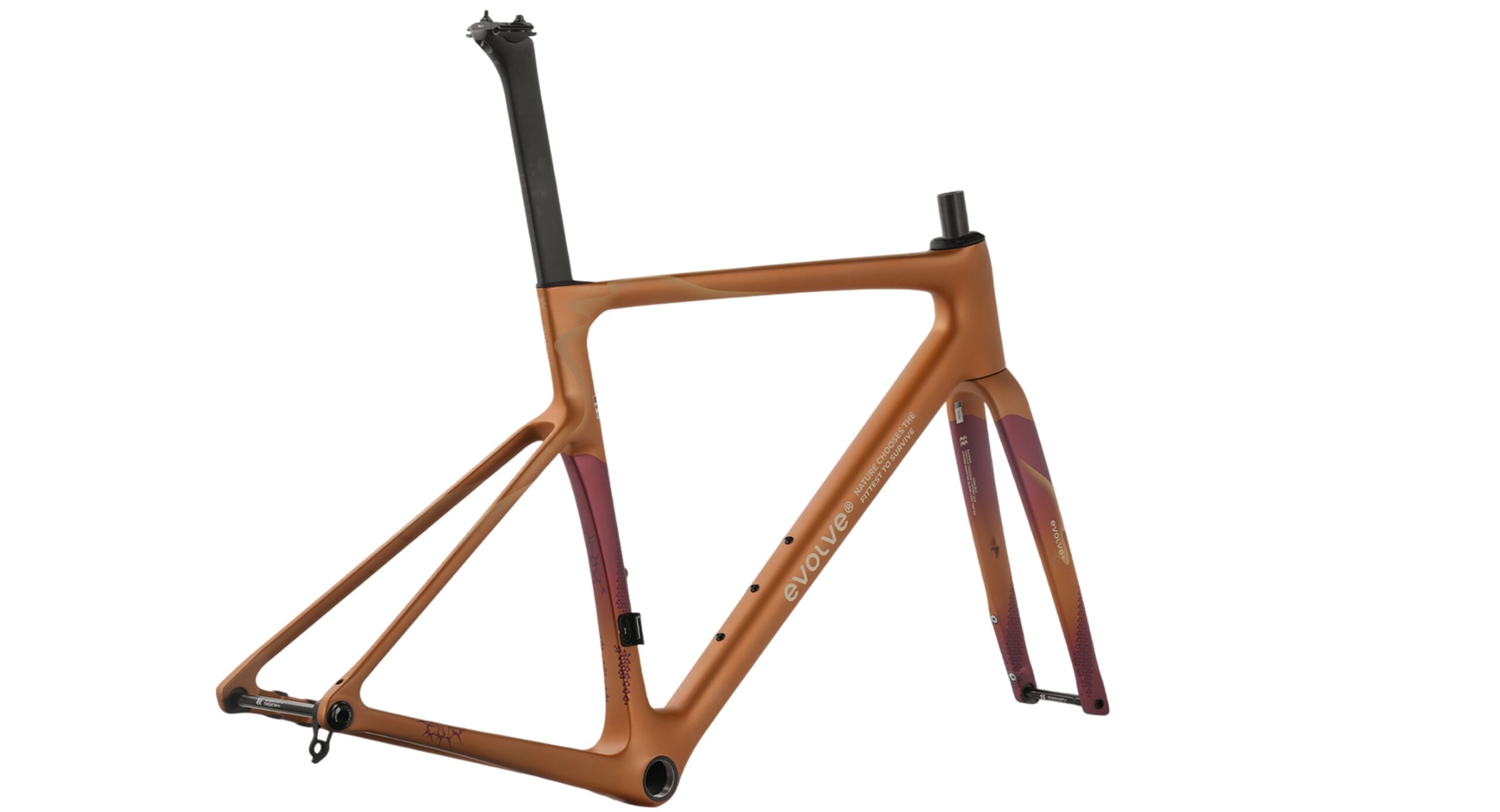 evolve Road Frameset CIMA ARTIST - Wilderness - Image 4