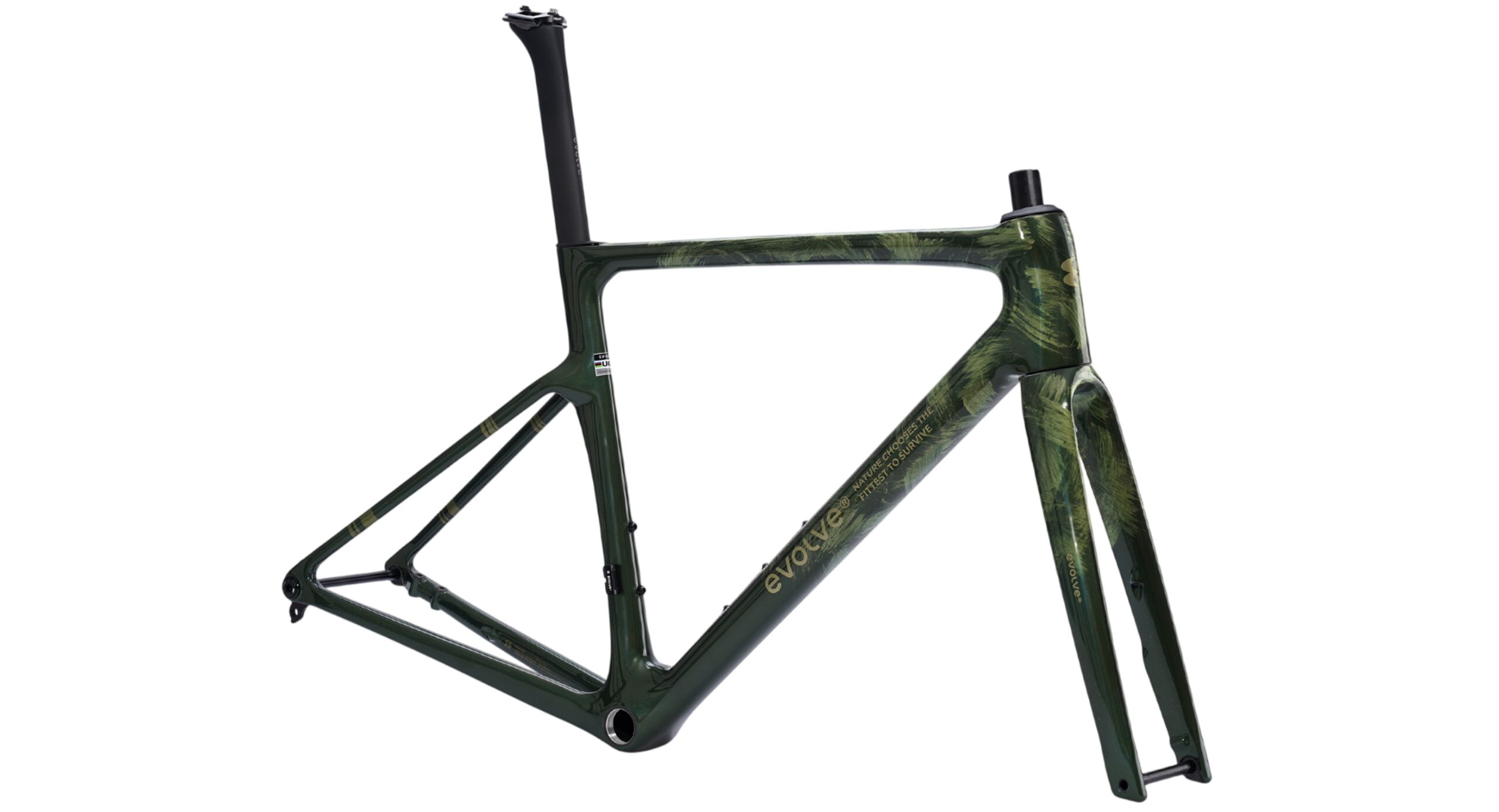 evolve Road Frameset CIMA ARTIST - Emerge - Image 4