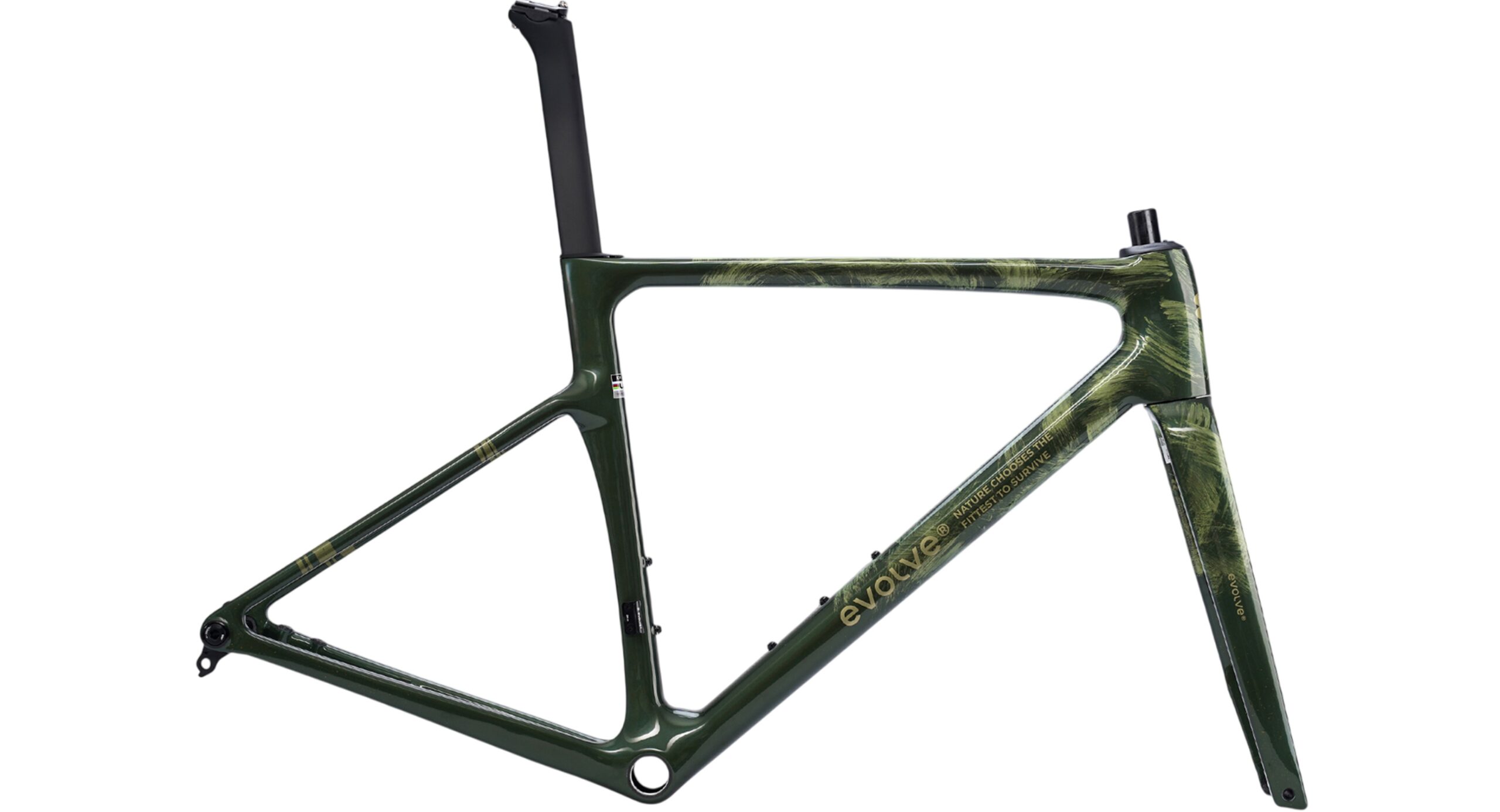 evolve Road Frameset CIMA ARTIST - Emerge - Image 2