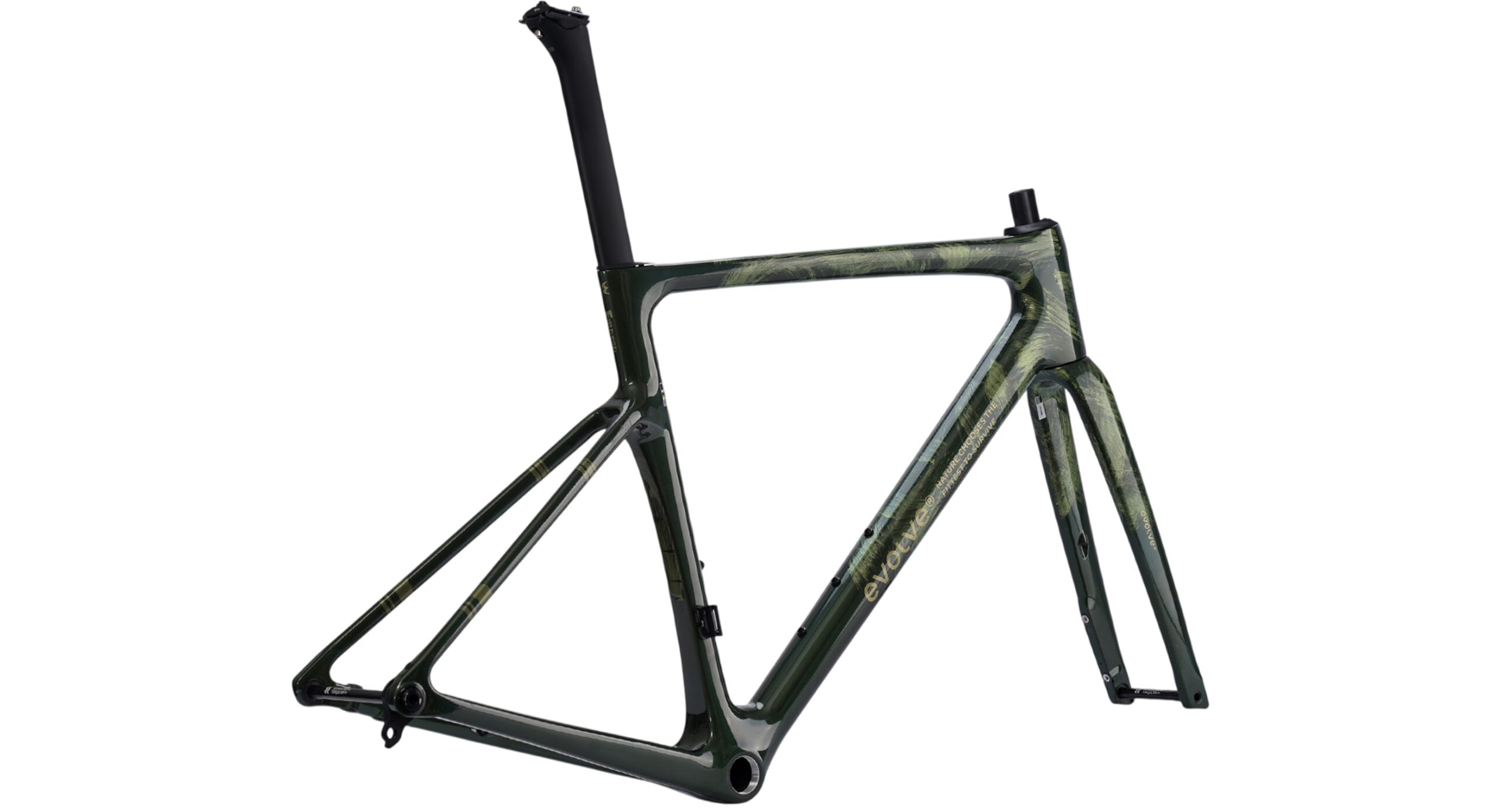 evolve Road Frameset CIMA ARTIST - Emerge - Image 3