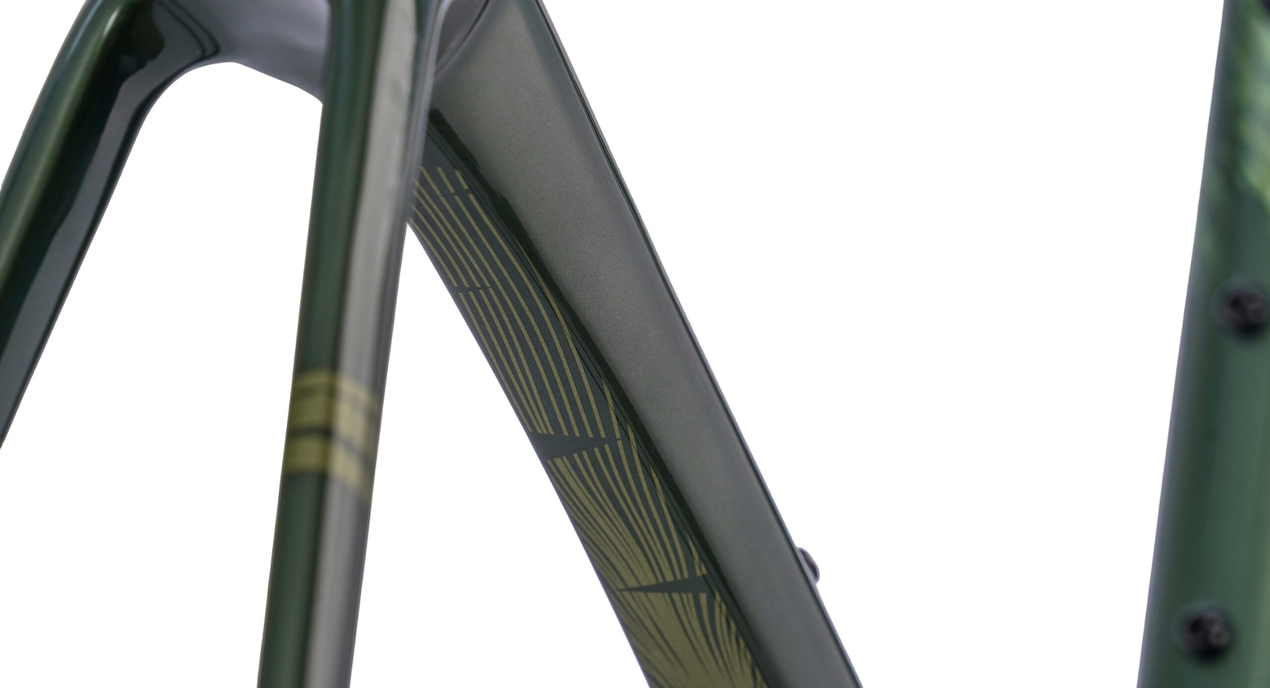 evolve Road Frameset CIMA ARTIST - Emerge - Image 7