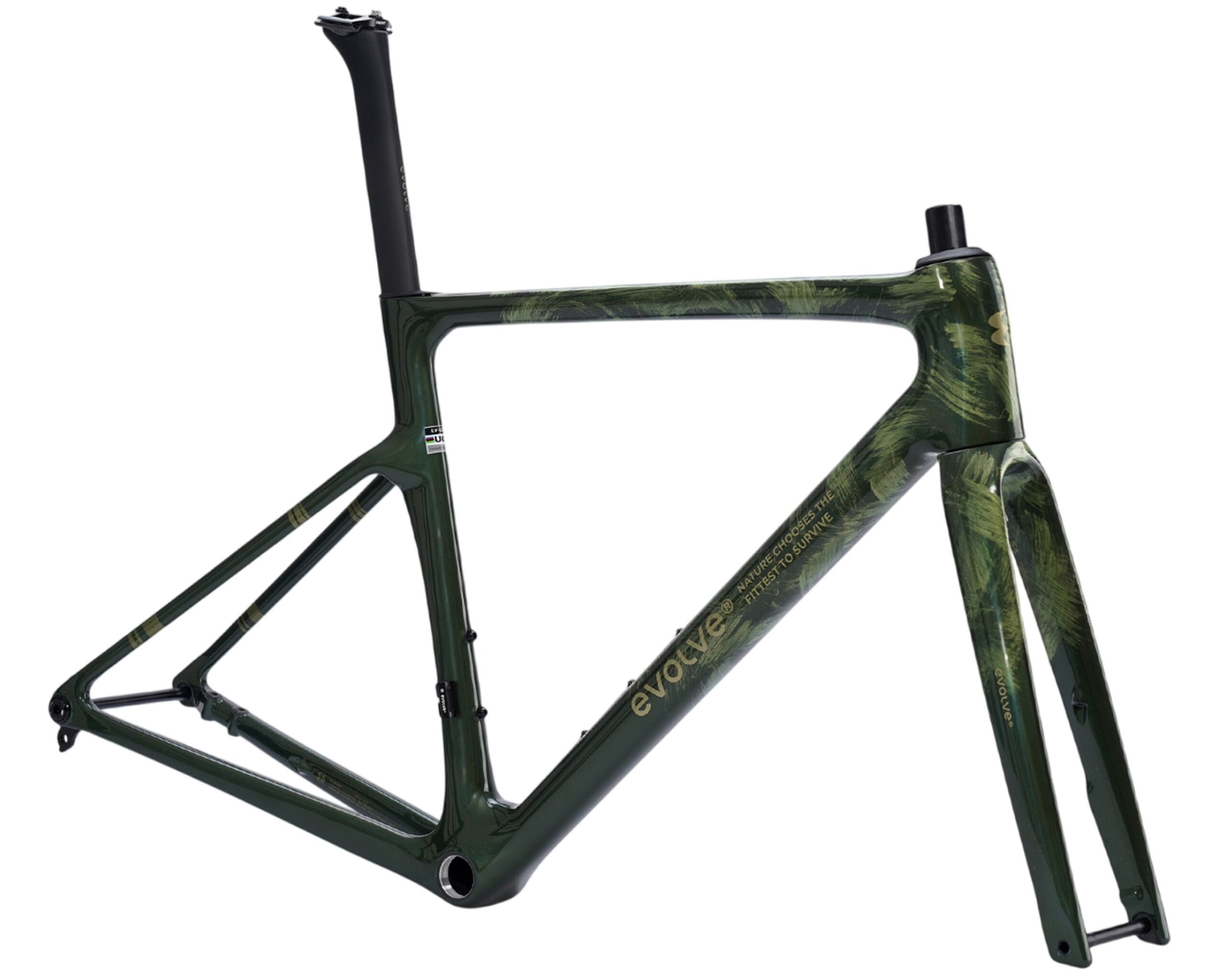 evolve Road Frameset CIMA ARTIST - Emerge