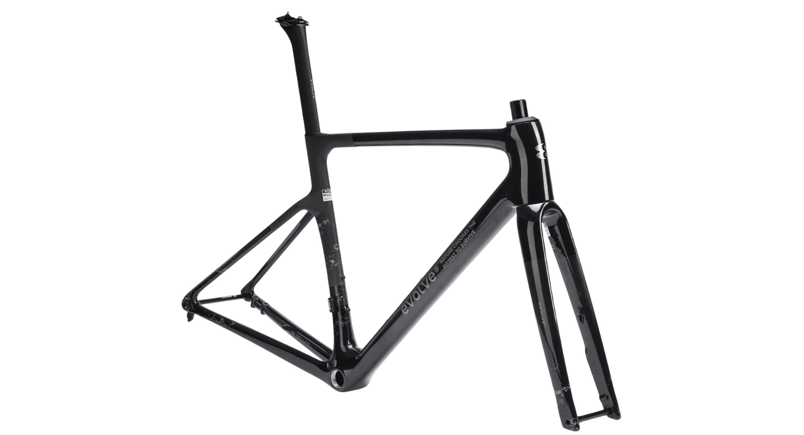 evolve Road Frameset CIMA Speed-Nirvana - Image 2