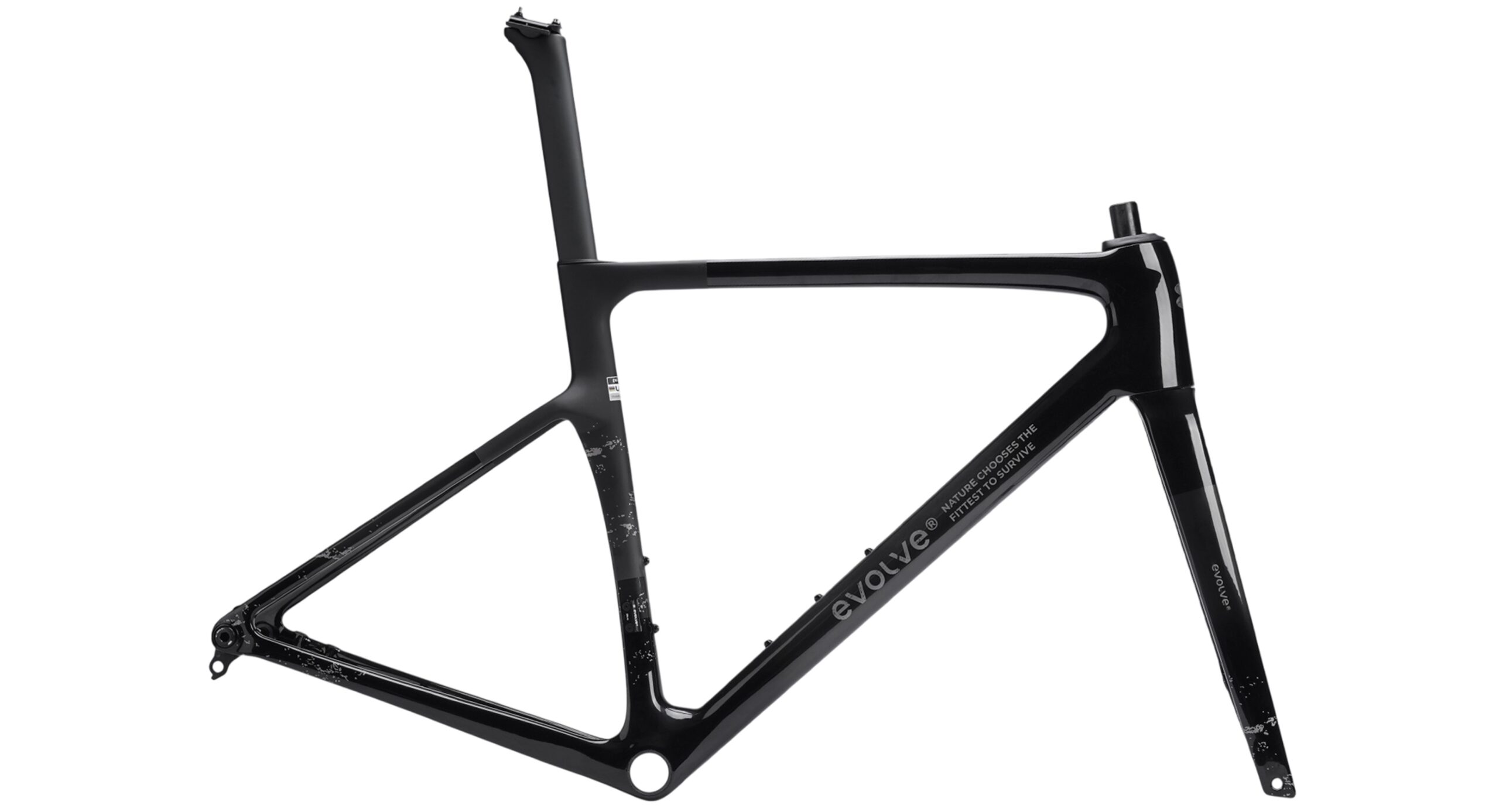 evolve Road Frameset CIMA Speed-Nirvana - Image 3
