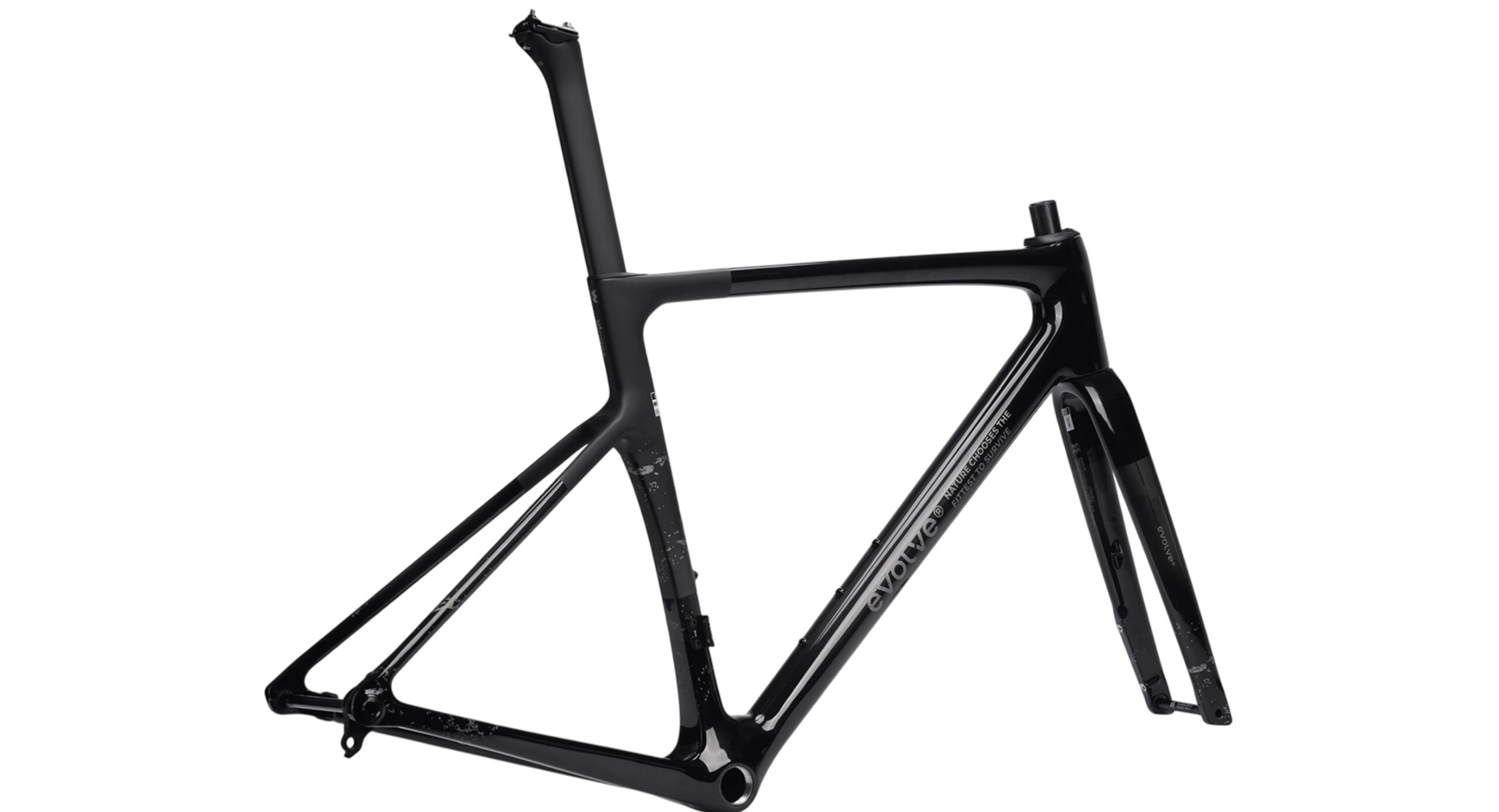 evolve Road Frameset CIMA Speed-Nirvana - Image 4