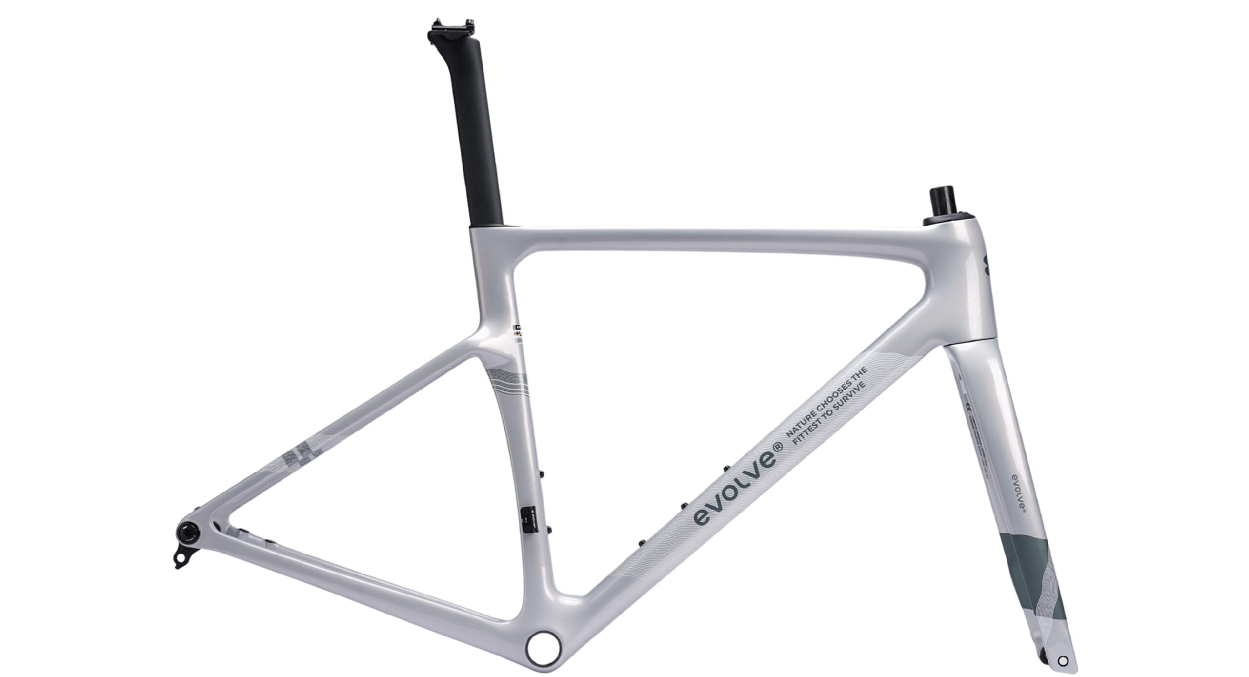 evolve Road Frameset CIMA Speed - Streams - Image 2