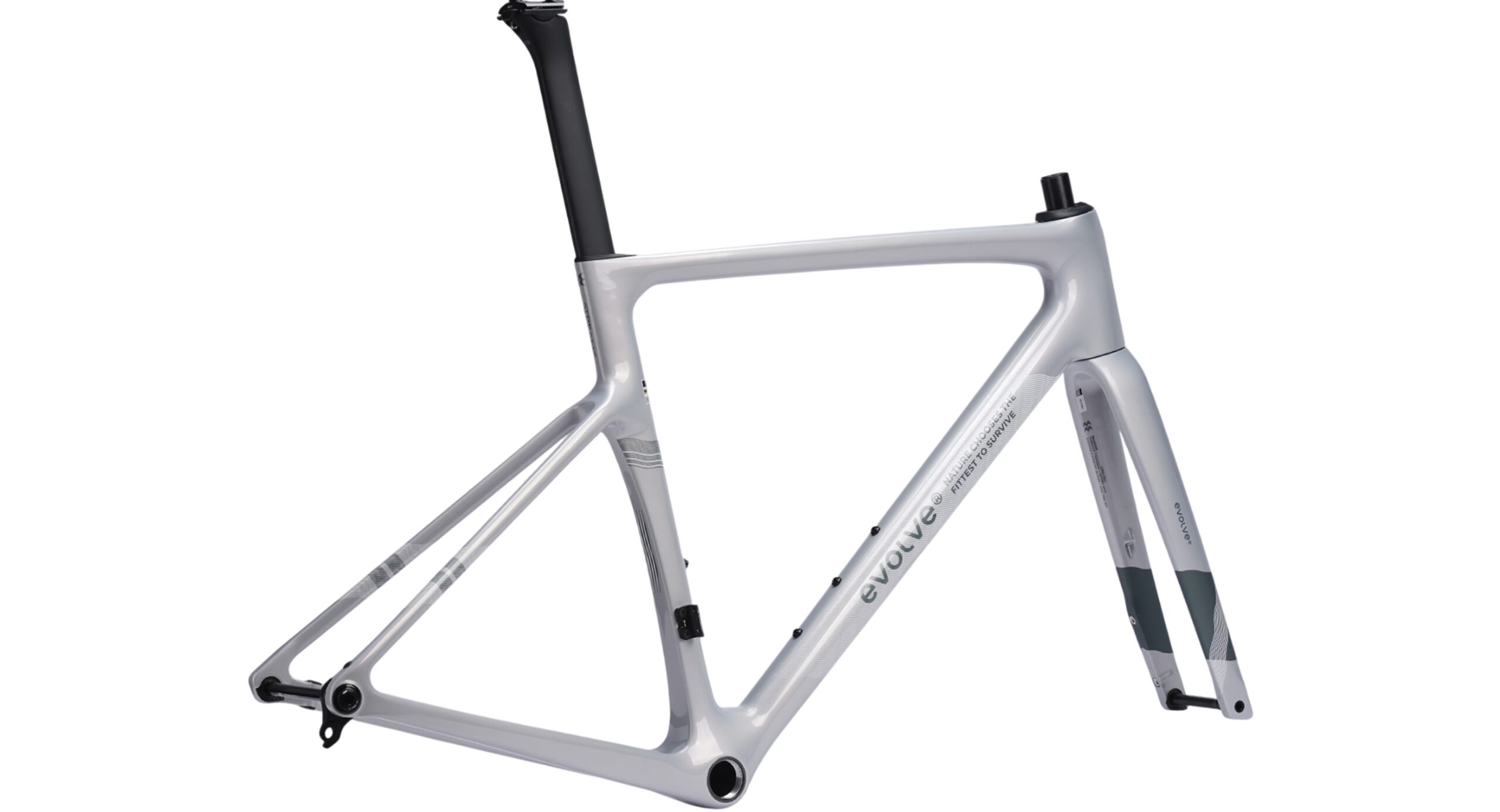 evolve Road Frameset CIMA Speed - Streams - Image 3