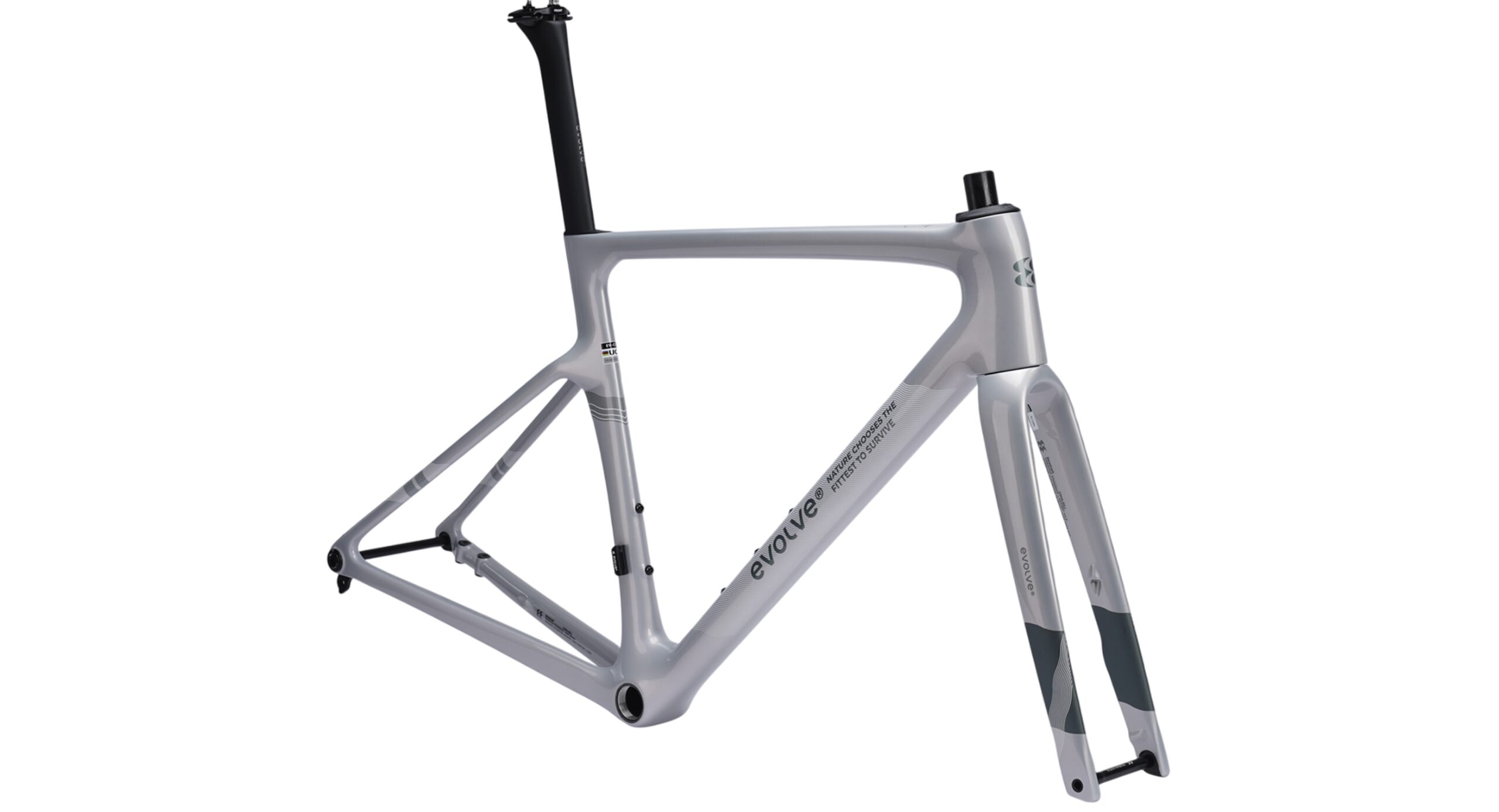 evolve Road Frameset CIMA Speed - Streams - Image 4